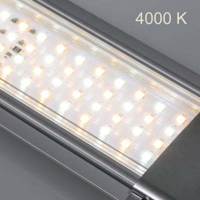 JBL LED SOLAR Natur 57 W- Eclairage LED 105 cm