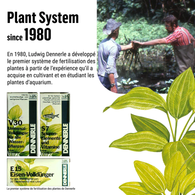 DENNERLE Plant System E15 250 ml - Fer liquide pour plantes
