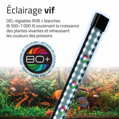 FLUVAL Flex 2.0 34 L - Komplettes Aquarium mit LED-RGB-Beleuchtung