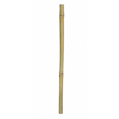 HOBBY Bambusstix 50 cm Ø 2-3 cm - Terrariendekoration