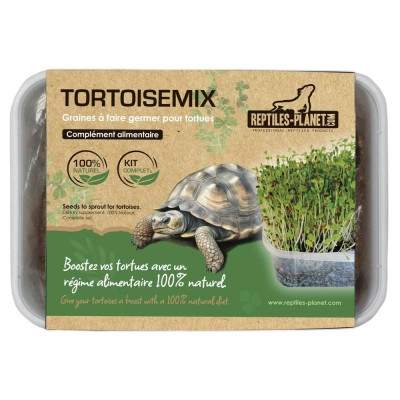 REPTILES PLANET Tortoisemix