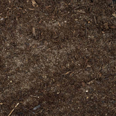 HabiStat Spider Bedding 10 l | Substrat für Spinnen und Skorpione