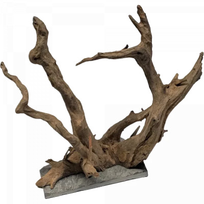 ME AQUARISTIC Euca Wood on Slate M - Wurzel auf Schiefer