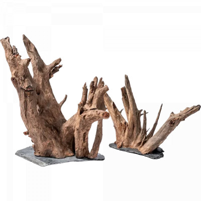 ME AQUARISTIC Euca Wood on Slate M