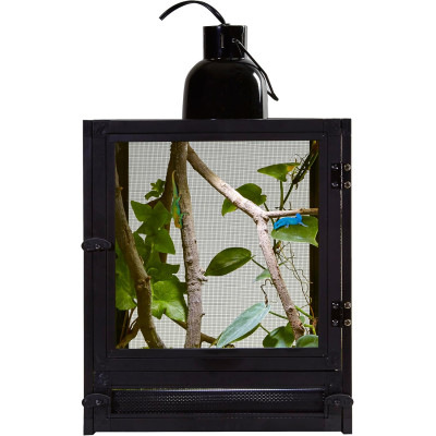 ZOO MED Nano Breeze – Terrarium grillagé 25,4 × 25,4 × 30,5 cm