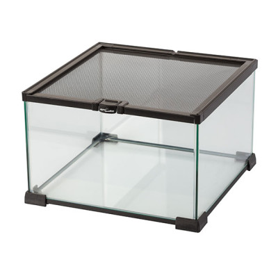 REPTI ZOO Reptile Glass Terrarium 31 × 31 × 20 cm