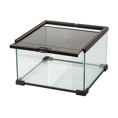 REPTI ZOO Reptile Glass Terrarium 31 × 31 × 20 cm