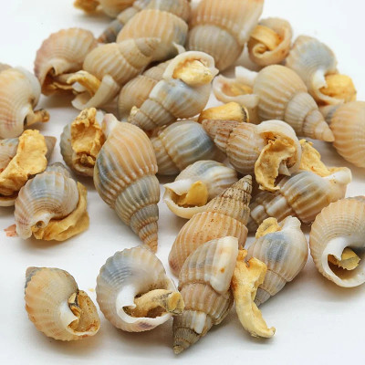 Escargots lyophilisés