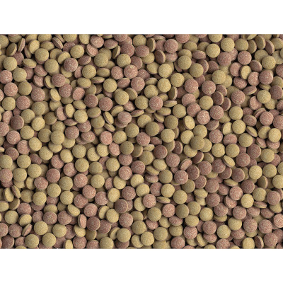 TETRA TabiMin Tablets 120 – Haupfutter Tabletten
