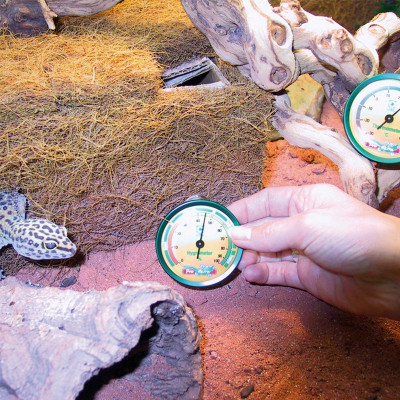 JBL TerraControl – Thermometer und Hygrometer für Terrarien