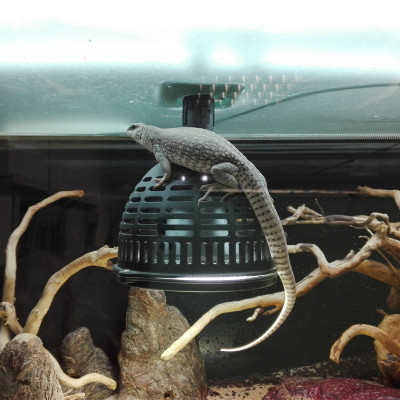 JBL TempProtect II Light M- Verbrennungs-schutz