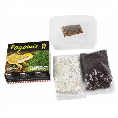 REPTILES PLANET Pogomix – Samenmischung zum Keimen für Pogona