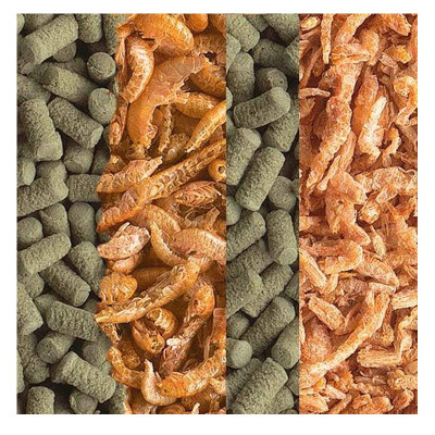 TETRA ReptoMin Menu 250 ml - Futter für Wasserschildkröten