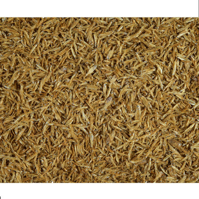 TETRA Anchovies 250 ml - Futter für Wasserschildkröten