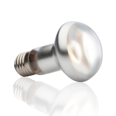 EXO TERRA Intense Basking Spot 100 W – Heizlampe für Reptilien