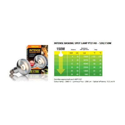 EXO TERRA Intense Basking Spot 150 W– Wärmespotlampe für Reptilien