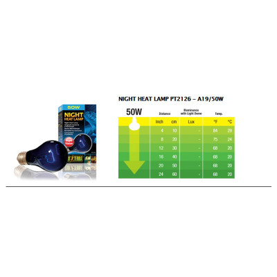 EXO TERRA Night Heat Lamp 50 W- Wärmelampe Für Die Nacht