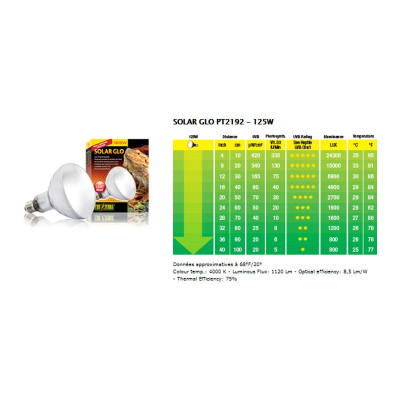EXO TERRA Solar Glo 125 W- All-in-One-Lampen