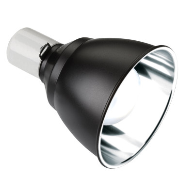 EXO TERRA Light Dome Ø18 cm– Reflektorlampe