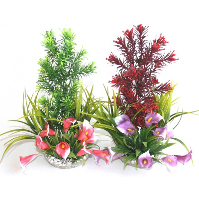 SYDECO Paradise 28 cm - Aquarienpflanze zum günstigen Preis bei Aquario&Co