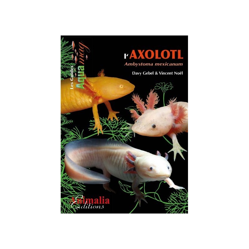 Livre- L'Axolotl à petit prix chez Aquario&Co