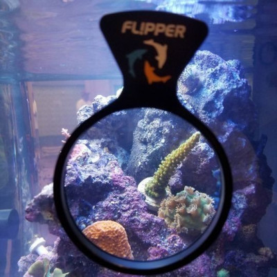 FLIPPER DeepSee Standard-Lupe für Aquarien