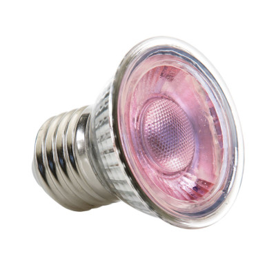 Ampulle LED Diurne