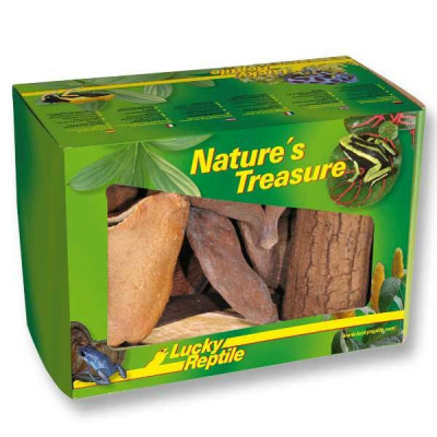 LUCKY REPTILE Nature's Treasure – Natürliche Dekoration für Terrarium