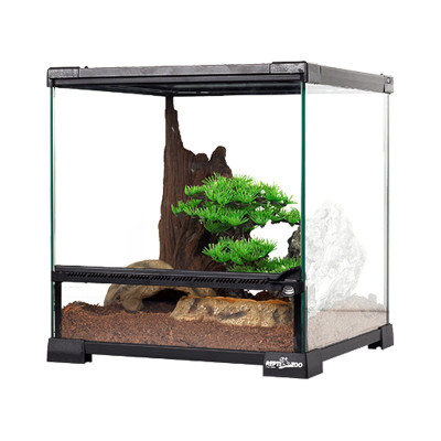REPTI ZOO Glasterrarium 60 x 45 x 32 cm – Terrarium für Reptilien