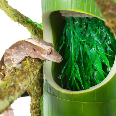 REPTI ZOO Bambus-Trinkbrunnen und Futternapf – Fontaine für Reptilien