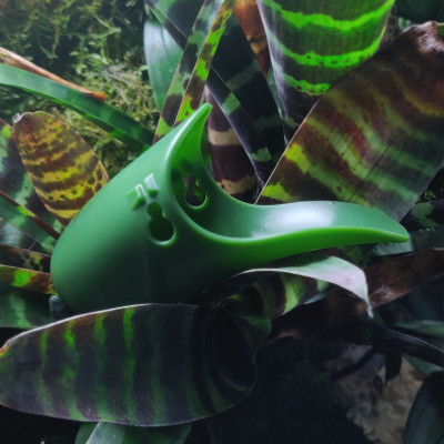 TAD-POOL Set- Pondoir pour grenouilles