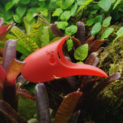 TAD-POOL Set- Pondoir pour grenouilles