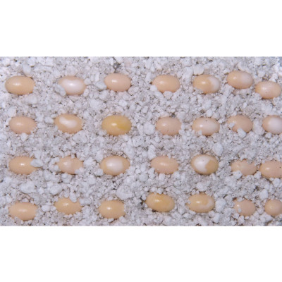 LUCKY REPTILE HatchRite 2 L – Perlite-Substrat für die Inkubation