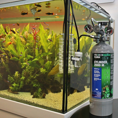 JBL ProFlora CO2-Zylinder 2000 M – Nachfüllbare CO2-Flasche