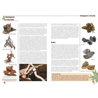 Terrarien-Layoutbuch - Technik und Dekoration bei Aquario&Co