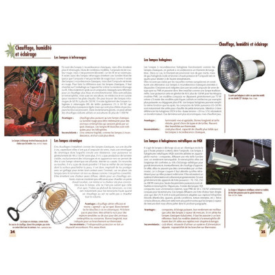 Terrarien-Layoutbuch - Technik und Dekoration bei Aquario&Co