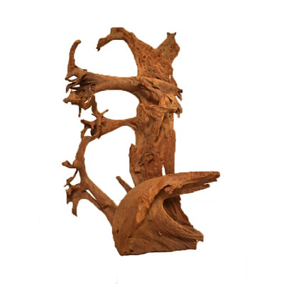 AMTRA Mangrovenwurzel 70-100 cm für Aquarium und Terrarium