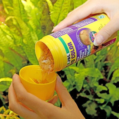 JBL ProNovo Color Flakes M 250 ml- Fischfutter