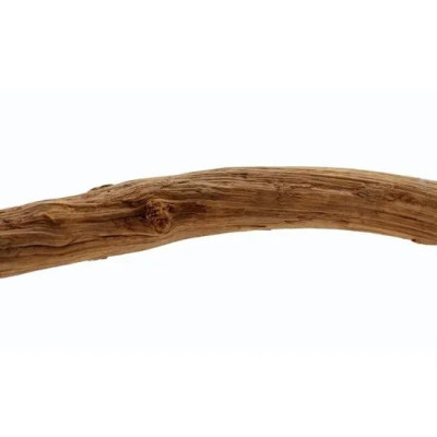 REPTILES PLANET Jungle Liana 60-80 cm- Zweig für Terrarium