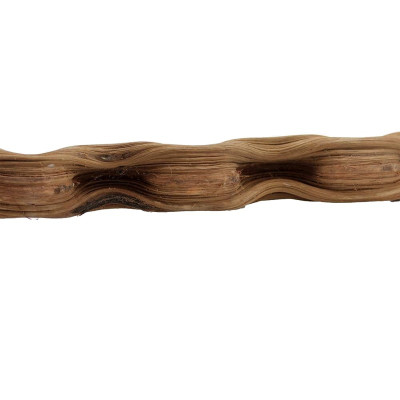 REPTILES PLANET Curly Vine 50-60 cm- Zweig für Terrarium