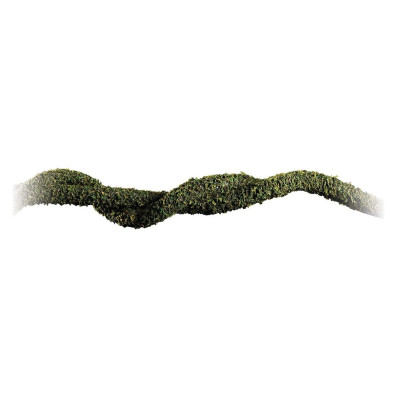 EXO TERRA Moss Vine Small- Liane pour terrarium