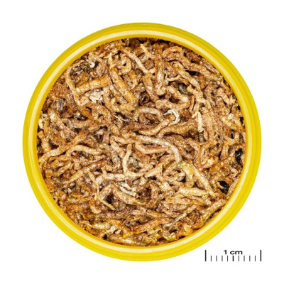 JBL ProNovo Fil 100 ml– Rote Mückenlarven
