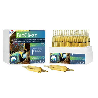 PRODIBIO Bioclean 6 Ampullen – Bakterien für das Aquarium
