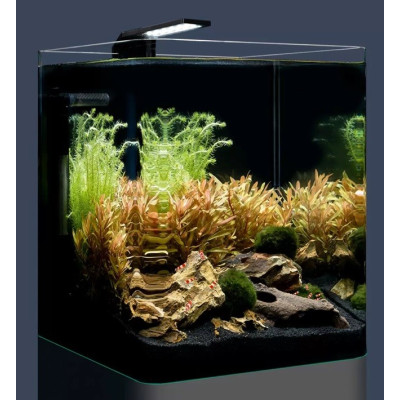 DENNERLE Nano Cube Basic 20 L- Aquarium équipé