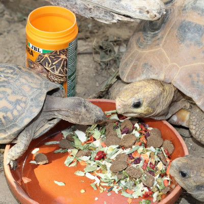 JBL ProTerra Vegabil 250 ml - Futter für Landschildkröten