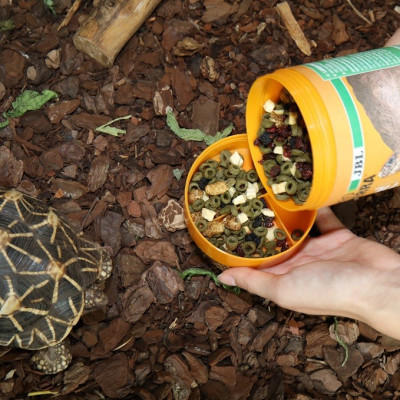 Schildkrötenfutter