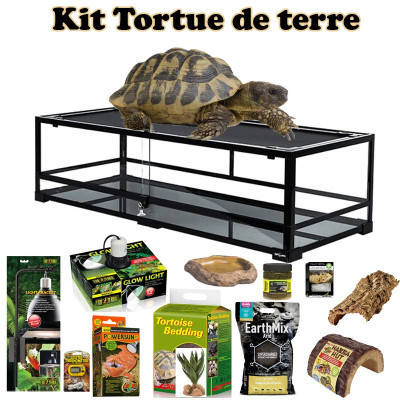 Schildkrötenterrarium