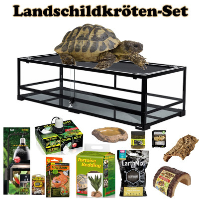 Terrarium für Landschildkröten