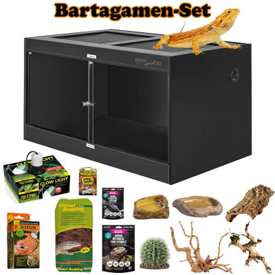 Terrarium-Set für Pogona