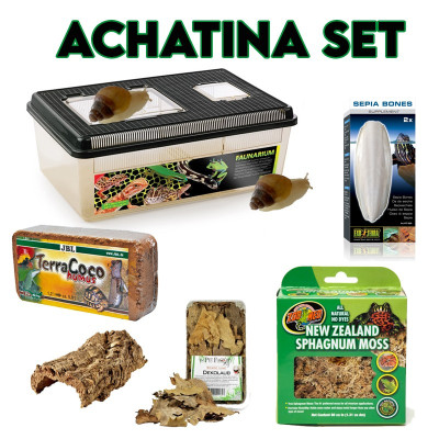 Achatina Kit – Starterpaket für junge afrikanische Riesenschnecken